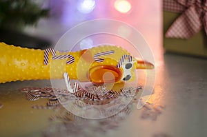 Toy rubber shriek yellow chicken photo