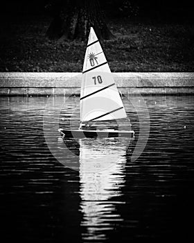 Toy sail boat