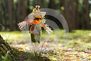 Toy Scare Crow in grass in a forest