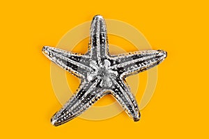 Toy sea star