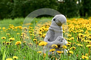 Toy sits in grass and flowers june photo