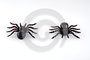 Toy spider for halloween decoration isolated on white background