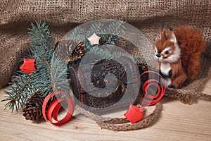 Toy squirrel and chest under the Christmas tree