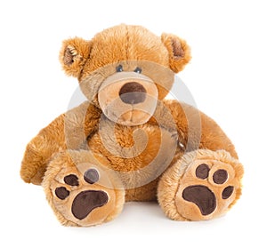 Toy teddy bear