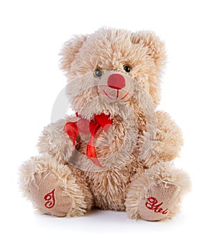 Toy Teddy bear