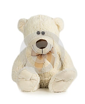 Toy Teddy bear