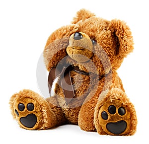 Toy teddy bear