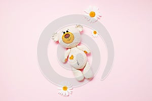 Toy teddy bear with daisies isolated on a pink background. Baby background. Copy space, top view