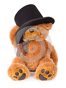 Toy teddy bear with hat