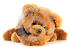 Toy teddy bear