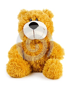 Toy teddy bear
