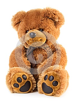 Toy teddy bear