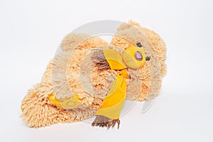 Toy of teddy bear lying on white studio background..