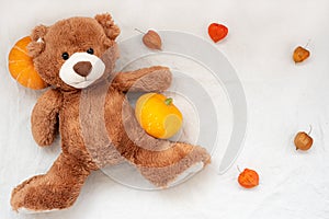 Toy teddy bear with pumpkin and Physalis frame