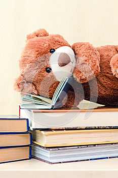 Toy teddy bear reading an interesting book, showing that even read toys. the concept of baby learning