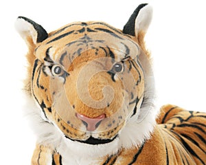 Toy Tiger, Up Close and Personal