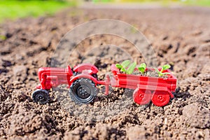 Toy Tractor with Seedlings on Freshly Plowed Farmland
