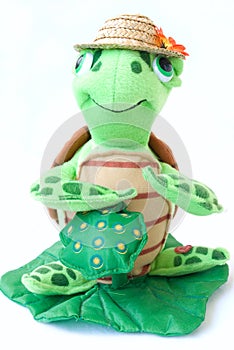 Toy turtle