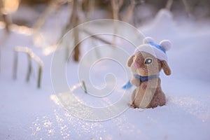 Toy woolly rabbit in a winter hat and scarf