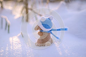 Toy woolly rabbit in a winter hat and scarf from the back