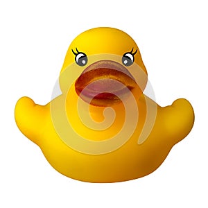 toy yellow duck