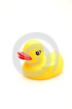 Toy Yellow Rubber Duck