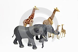 Toy zoo animals