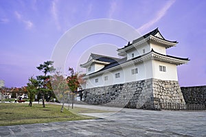 Toyama Castle with twilight sky in the evening of Toyama.