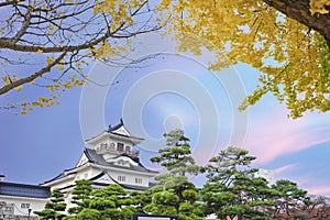 Toyama Castle with Twilight sky and Ginkgo leaf.