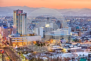 Toyama City, Japan Downtown Skyline