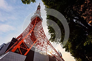 Toyko Tower at sunset