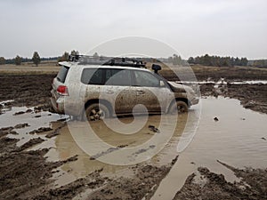 Toyota Landcruiser