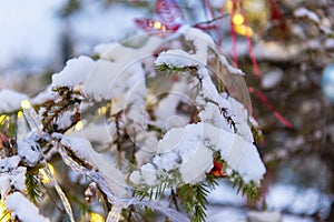 Toys on the New Year's street tree.