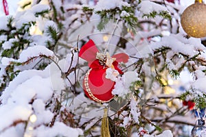 Toys on the New Year's street tree.