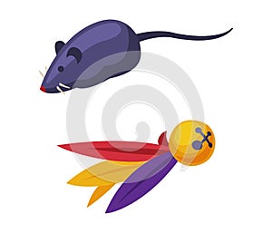Toys for pet animals set. Ball with colored feathers and mouse cartoon vector illustration