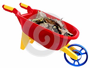 Toys: Plastic Wheelbarrel and Dry Leaves (2 of 2)