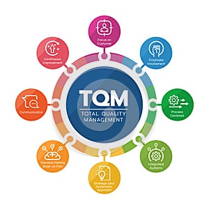 TQM total quality management diagram circle chart with 8 module line icon vector design