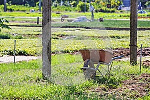 Tra Que village, Quang Nam province, Vietnam