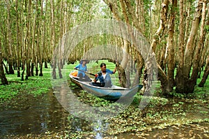 Tra Su indigo forest, Vietnam ecotourism