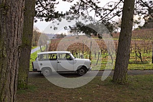 Trabant combi in front of vineyard