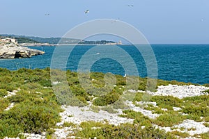 Trabucco in the National Park of Gargano near Vieste