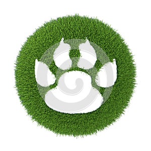 Trace of the animal on the green grass