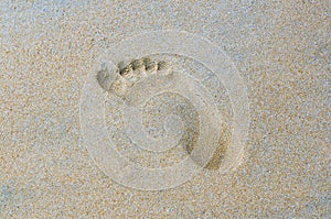 Trace of a bare foot on wet sand