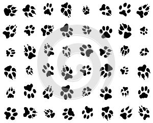 trace of cats and dogs