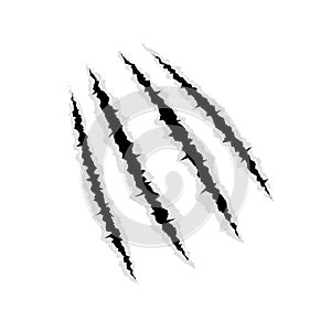 Trace of claws of a predator on a white background