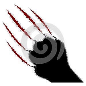 Trace of claws of a predator on a white background