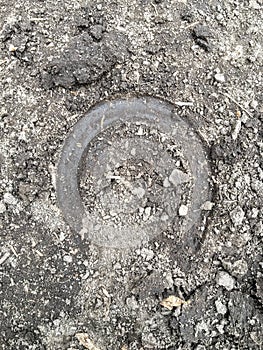 The trace of the hoof of a horse, close up, detailed, on the dirt horseback trails through trees on the Yellow Fork and Rose Canyo