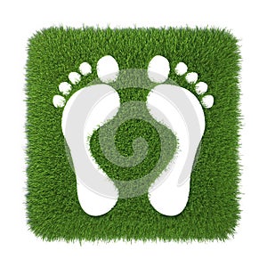 Trace of human foot on green grass
