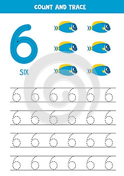 Trace numbers. Number 6 six. Powder blue tang fish