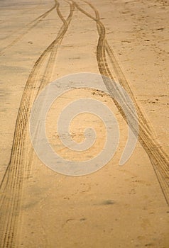 Trace of tire in sand